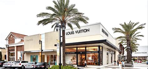 louis vuitton jacksonville